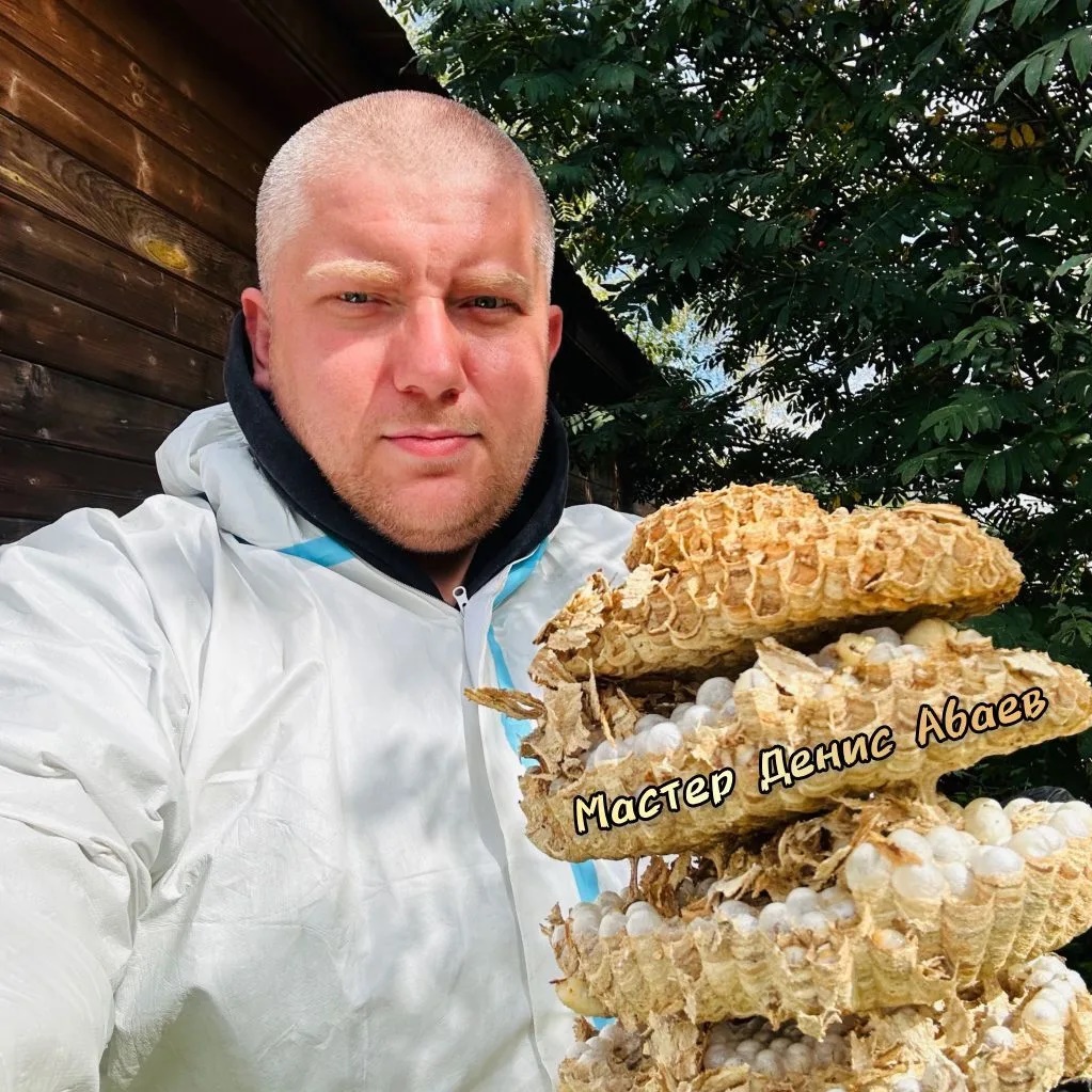 Денис Дезинфектор