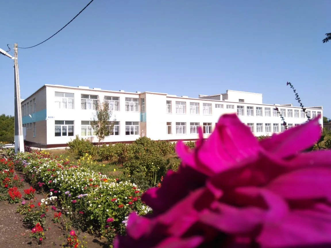 МБОУ "Новочутинская ООШ" Бавлинского муниципального района Республики Татарстан