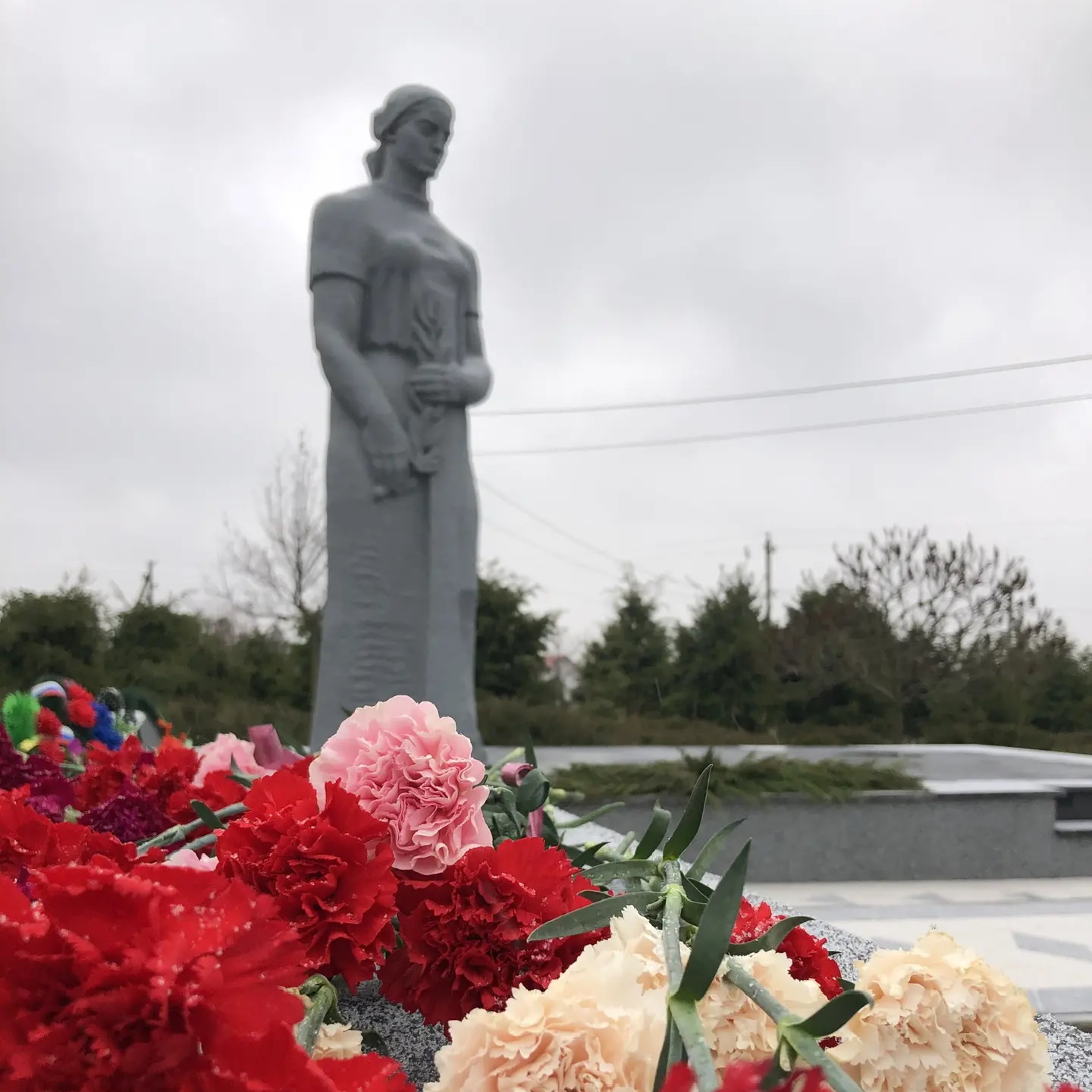 Администрация Репьёвского муниципального района