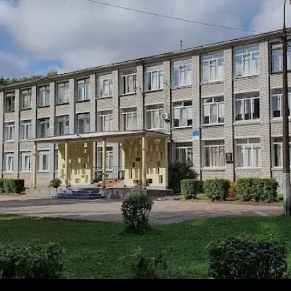 МБОУ "Лицей "Развитие" г. Псков