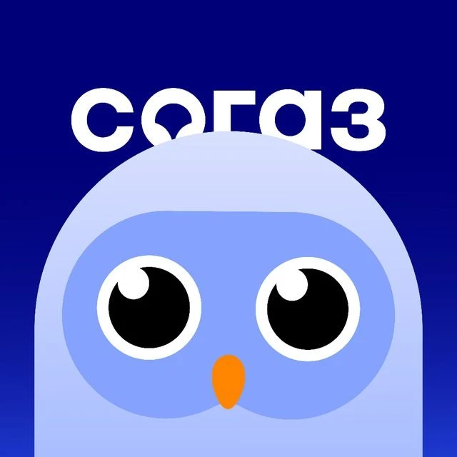 СОГАЗ Карьера