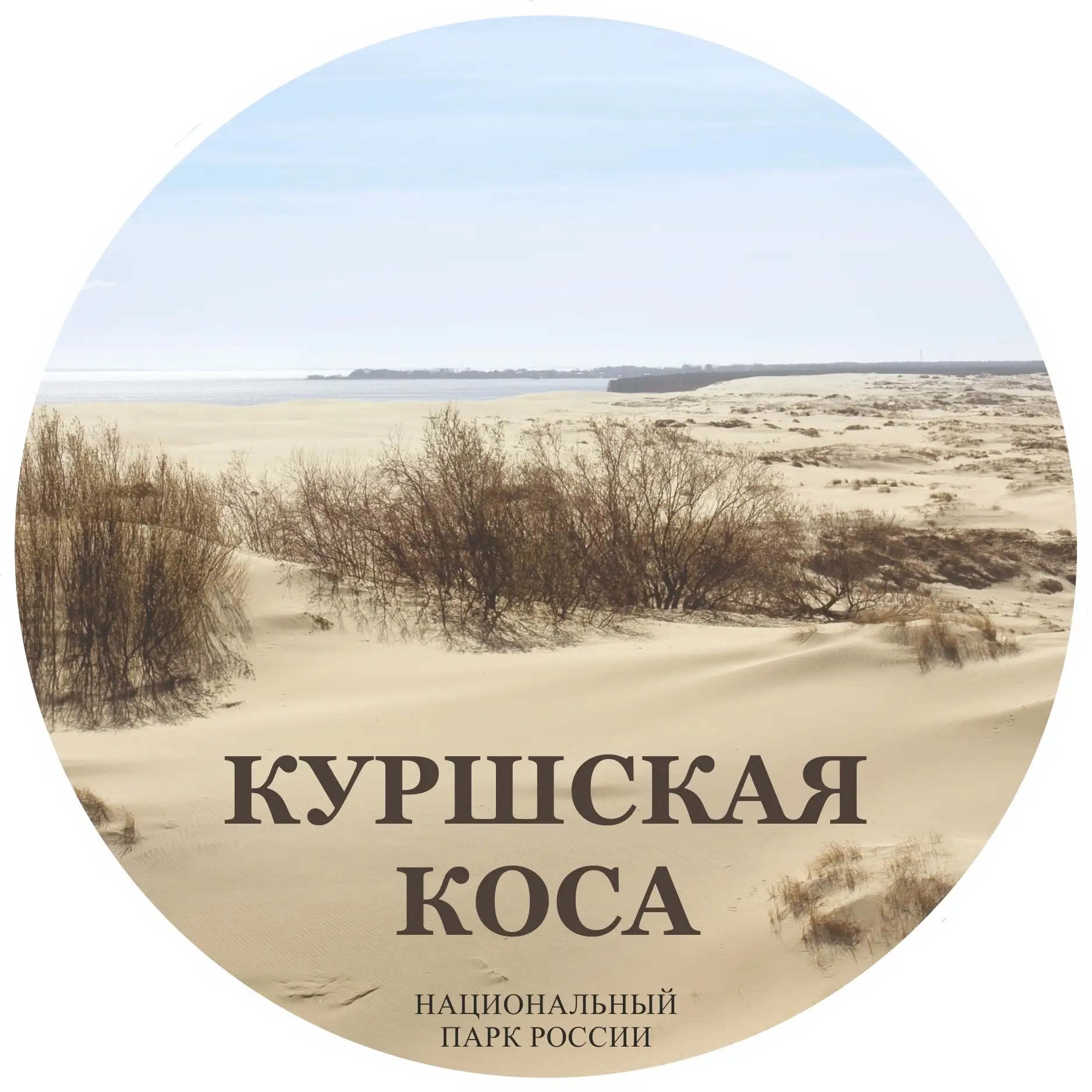 Куршская коса