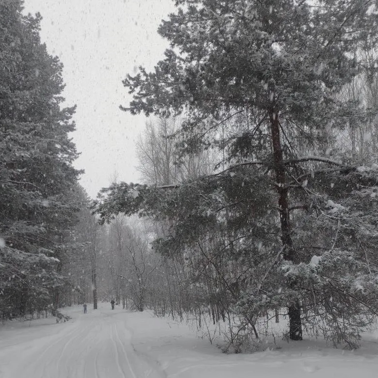 Ягодная слобода