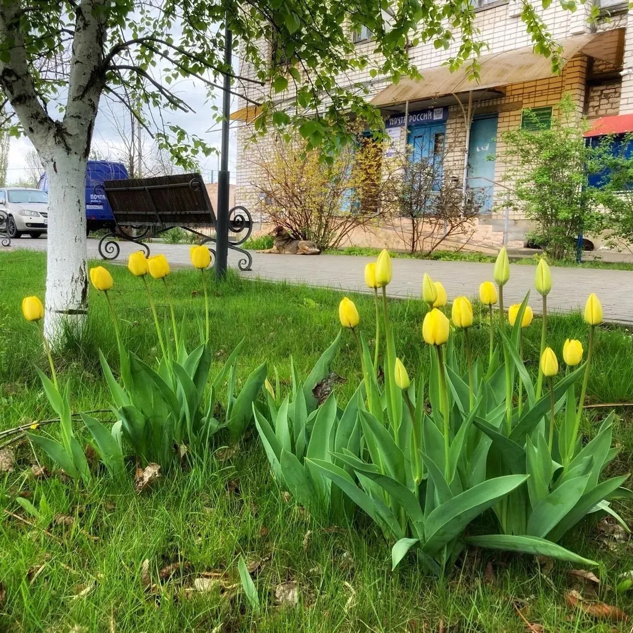 Администрация Новонадеждинского сельского поселения Городищенского муниципального района Волгоградской области