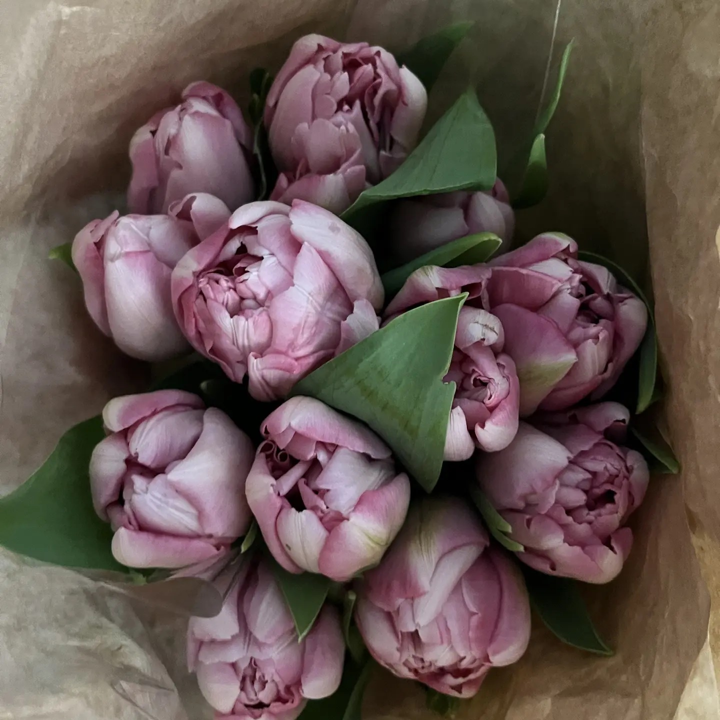 ЗЕЛЁНАЯ ФЕРМА