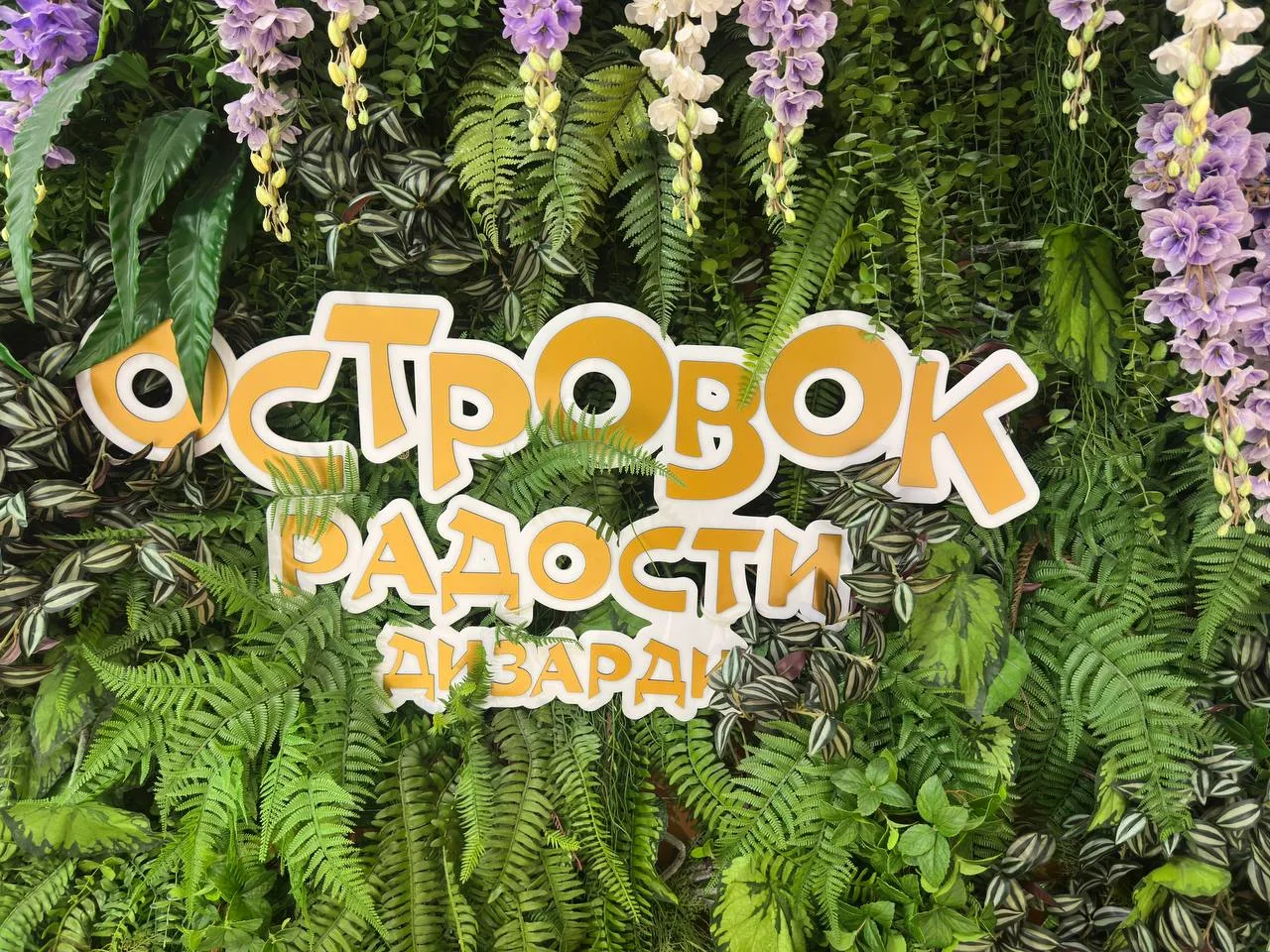 Островок радости Дизарди