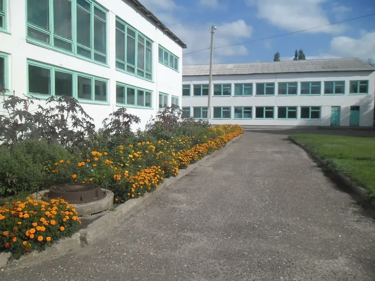 МБОУ Салтынская СШ