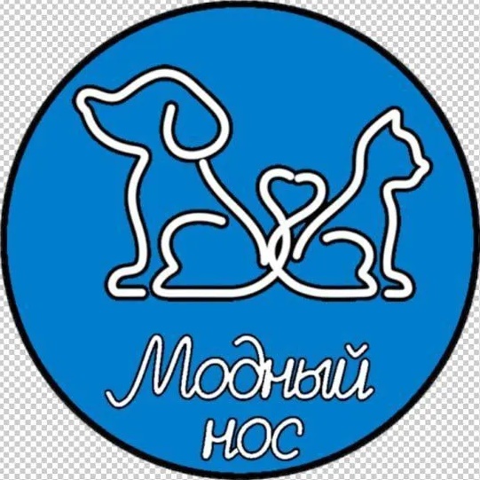 Модный нос 🐶🐱