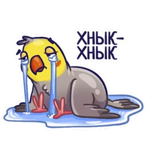 Попугайчики — стикер для MAX
