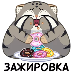 Манул Тимофей — стикер для MAX