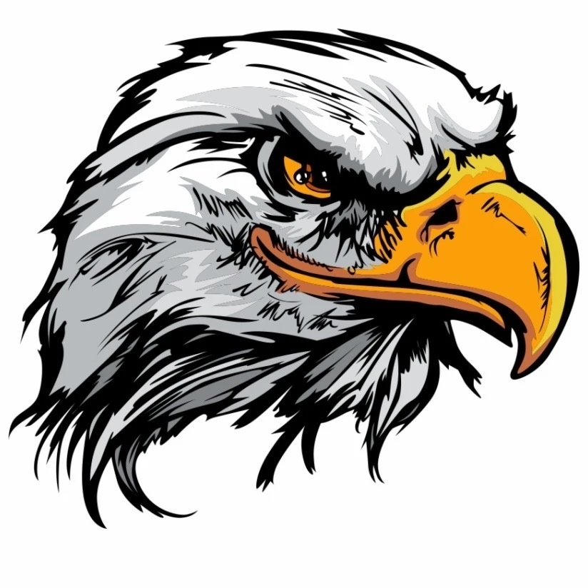 Аватар канала Дагестан 🦅