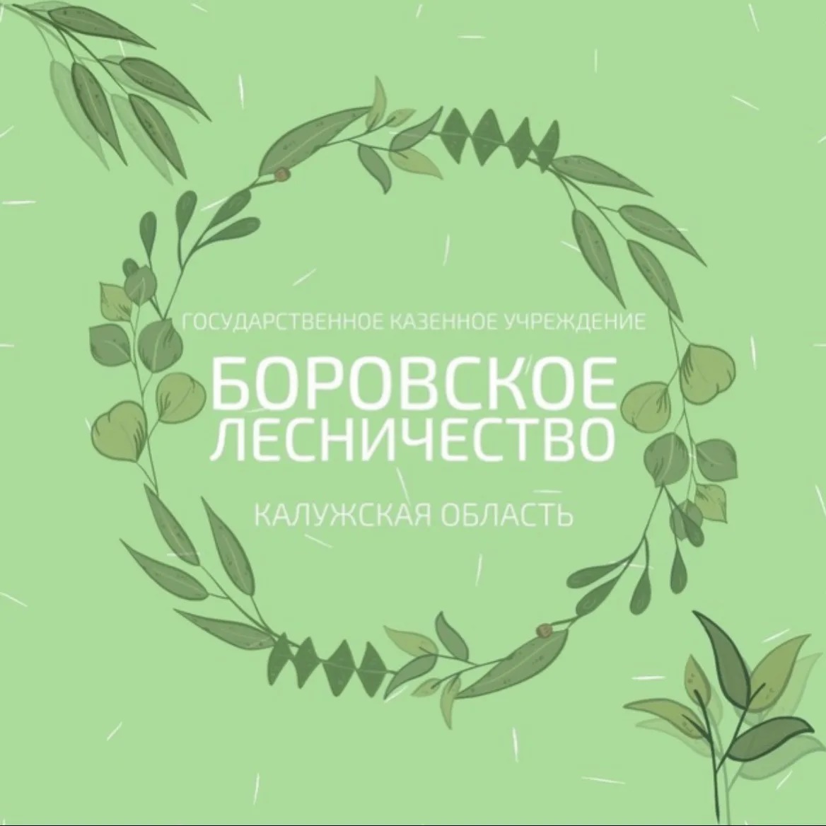 ГКУ КО "Боровское лесничество"
