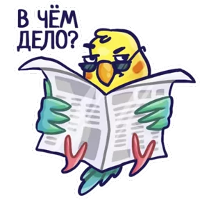 Попугайчики — стикер для MAX