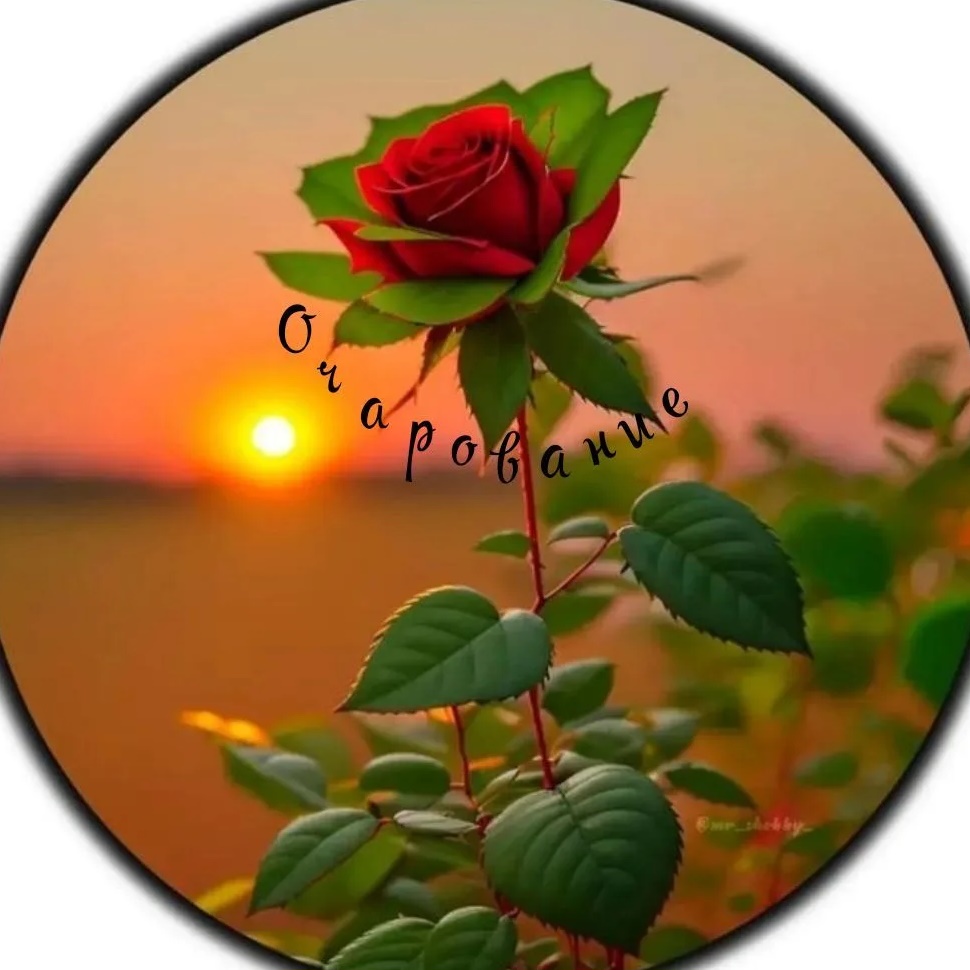 Очарование