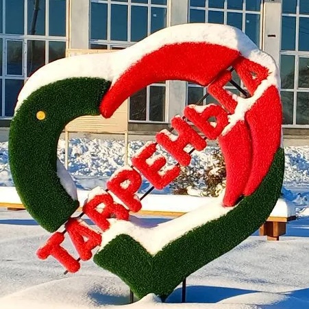 МБУК "Тавреньгский Центр досуга"