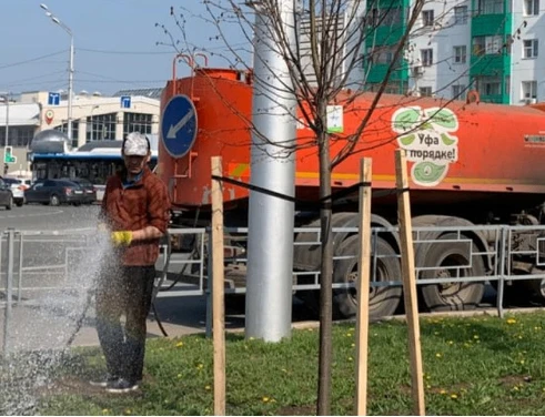 МБУ "Служба по благоустройству Советского района" г. Уфа