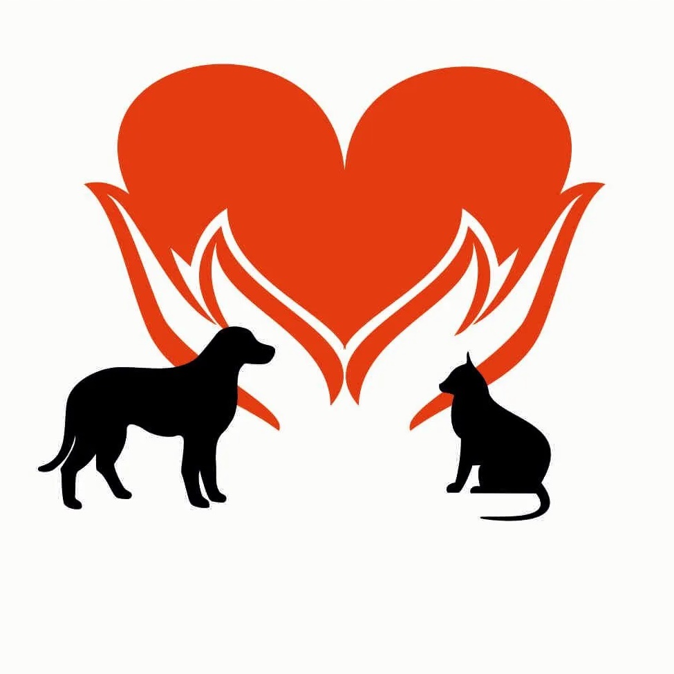 Помощь бездомным животным "ДОБРОЕ СЕРДЦЕ"