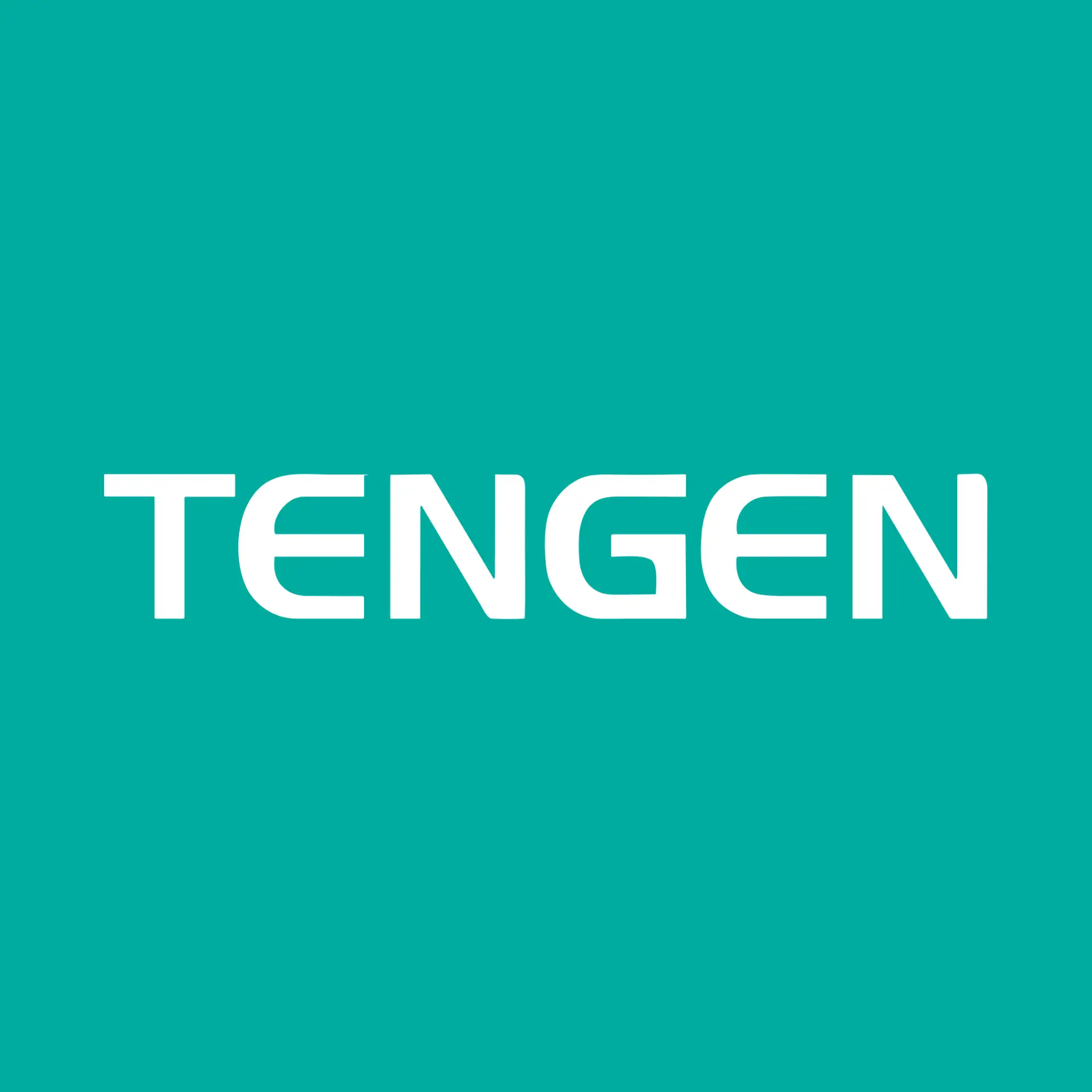Tengen Electric