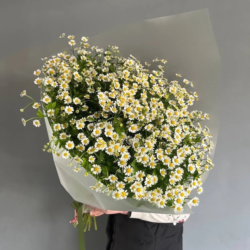 Цветы Дона Ростов