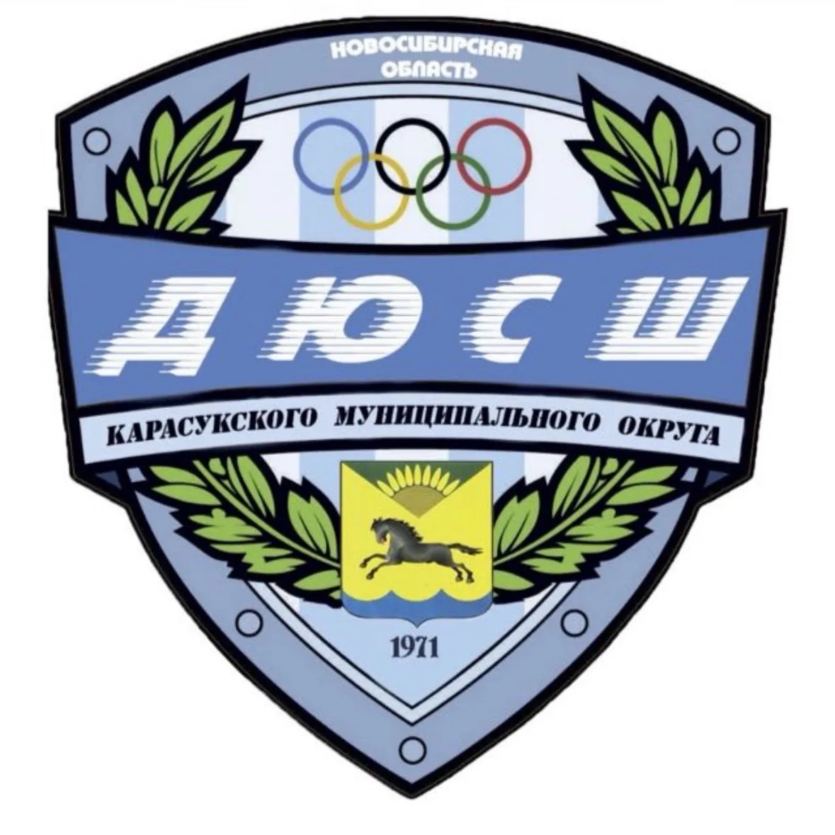 МБУ ДО ДЮСШ Карасукского муниципального округа Новосибирской области