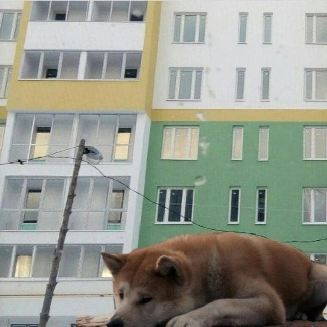 ООО "Северный дворик" г. Нижний Новгород