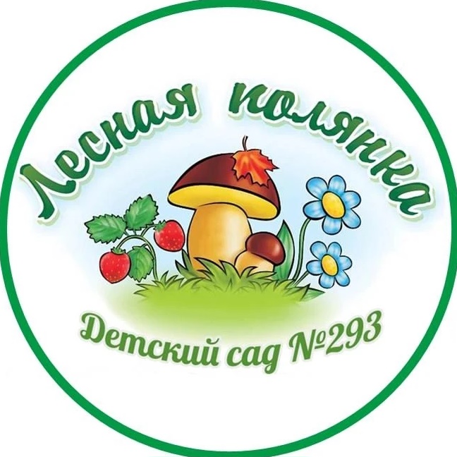 МБДОУ д/с № 293 г. Новосибирск