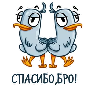 Чайка — стикер для MAX