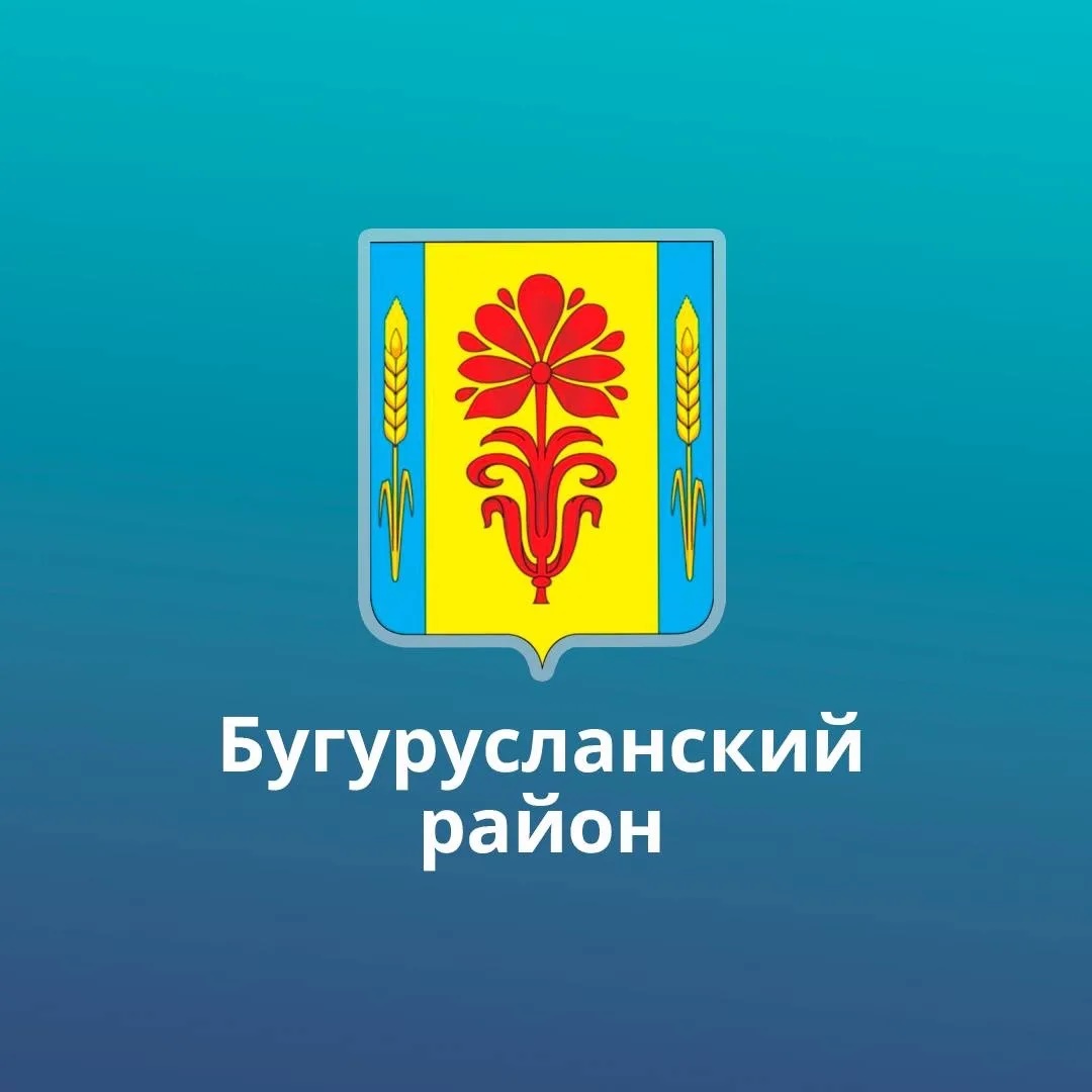 МО Нижнепавлушкинский сельсовет