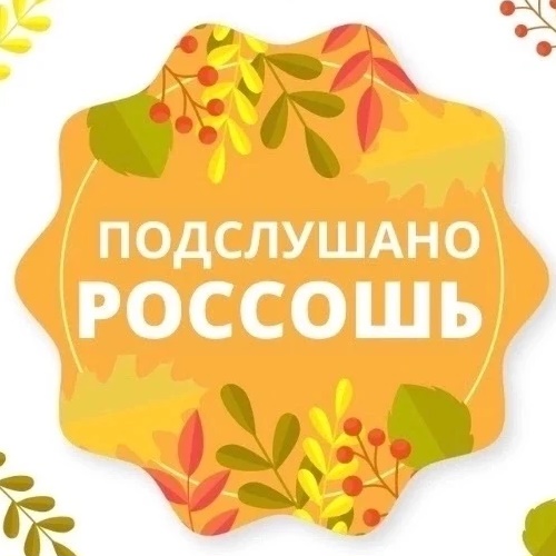 Аватар канала Подслушано. Россошь