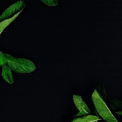 Мятные цитаты