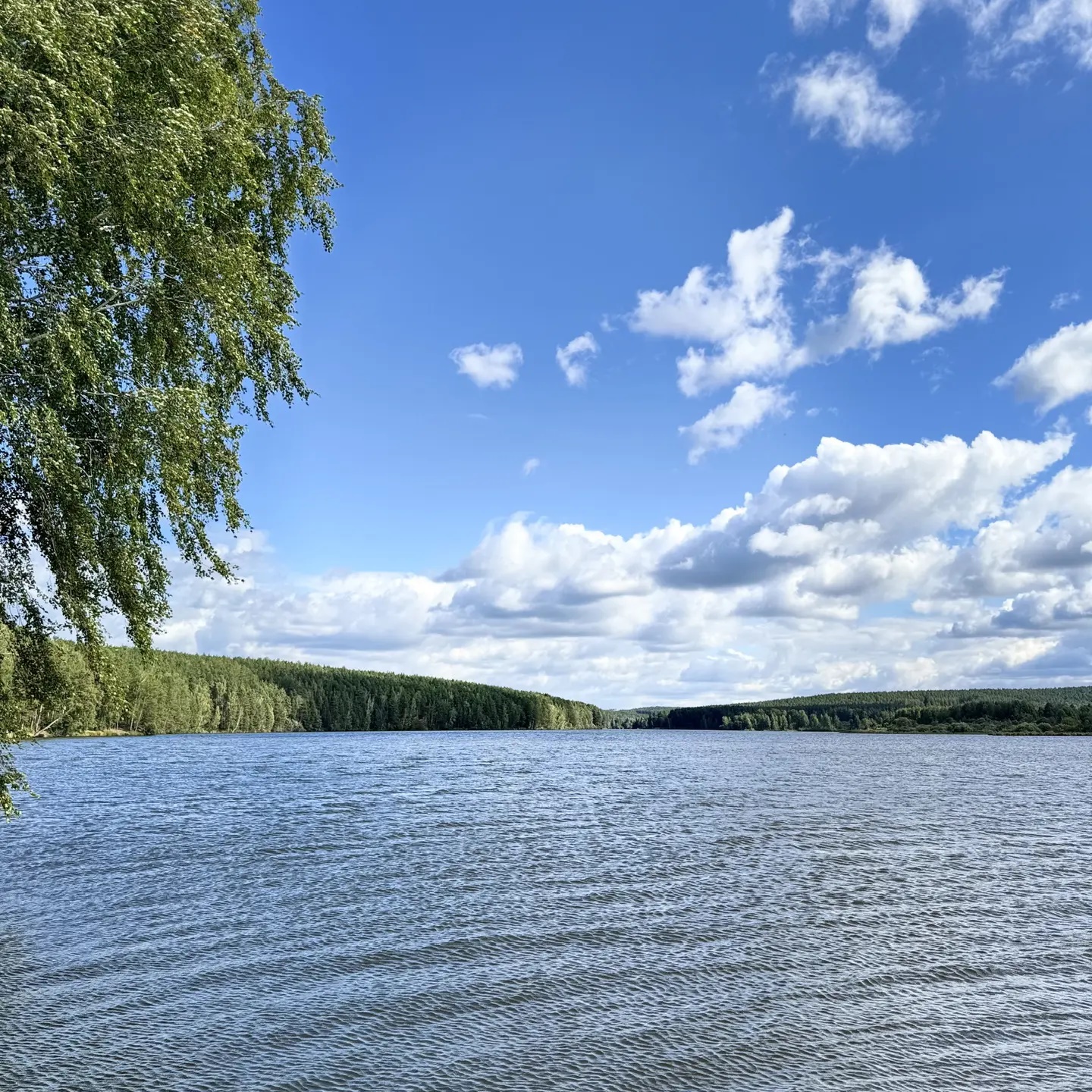 ООО "Коммунэнерго"