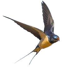 МДОУ "Детский сад № 21" г.Кириши