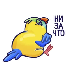 Попугайчики — стикер для MAX