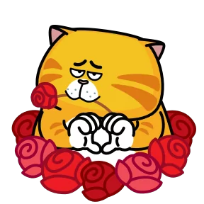 Рыжий кот — стикер для MAX