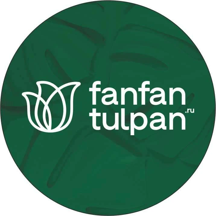 FAN FAN TULPAN | Цветы, доставка цветов