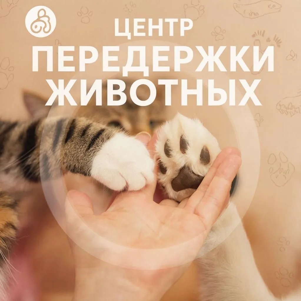 МКУ г. Костромы "Центр передержки животных"