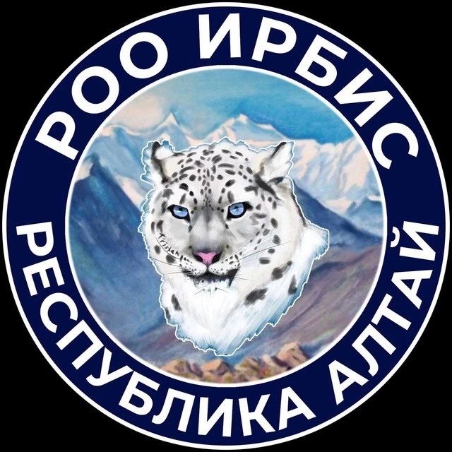 Чисто Новости