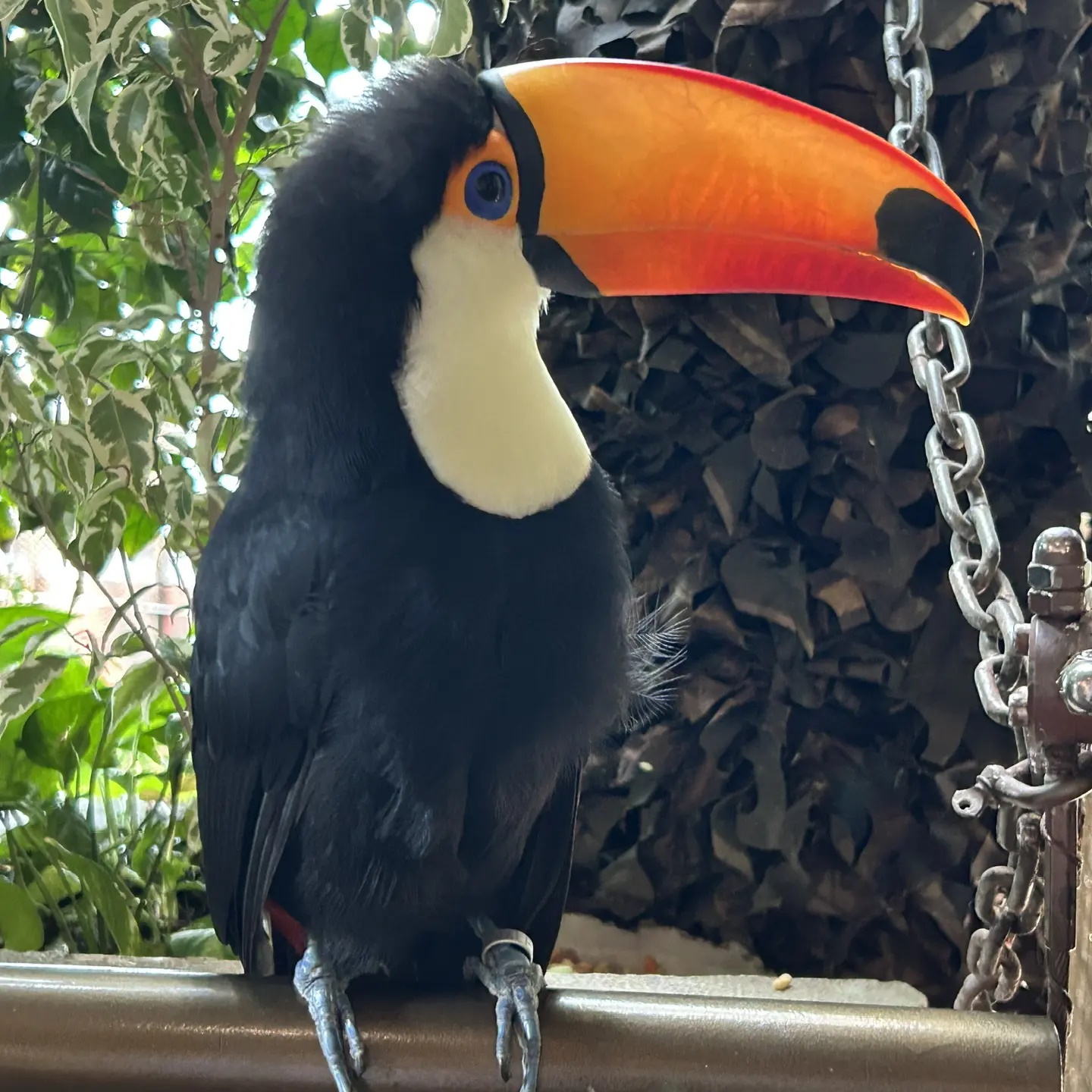 Путешествуем выгодно ✈️