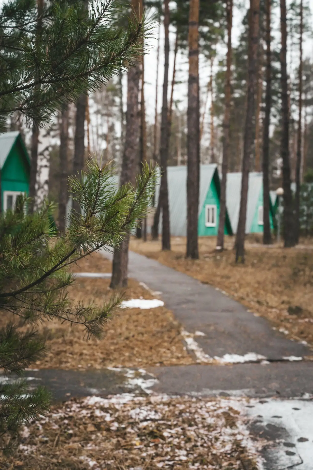 ОСБ «Зеленый бор» (РГРТУ)