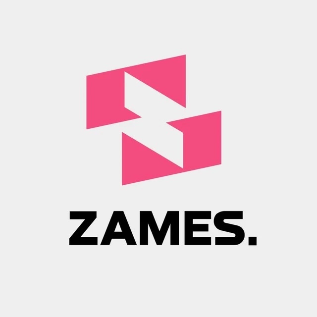 ZAMES. Строительство загородных домов