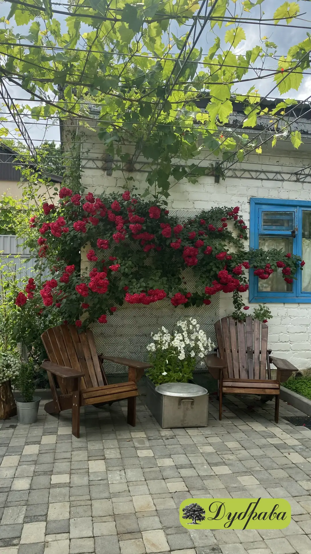 Под Сенью дуба. Железноводск.  Отдых на курорте .