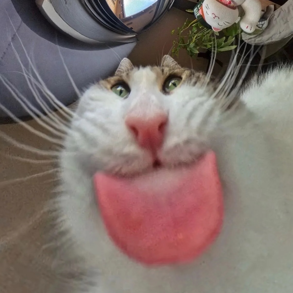 Влажные салфетки