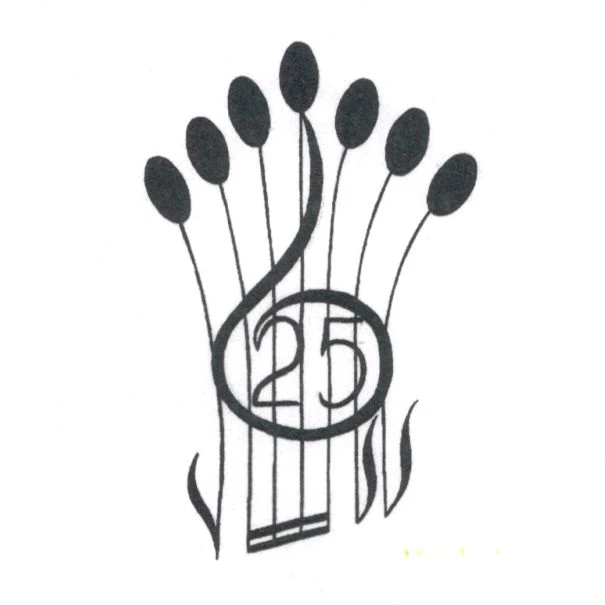 Муниципальное бюджетное учреждение дополнительного образования Верхнетоемского муниципального округа "Детская школа искусств №25"