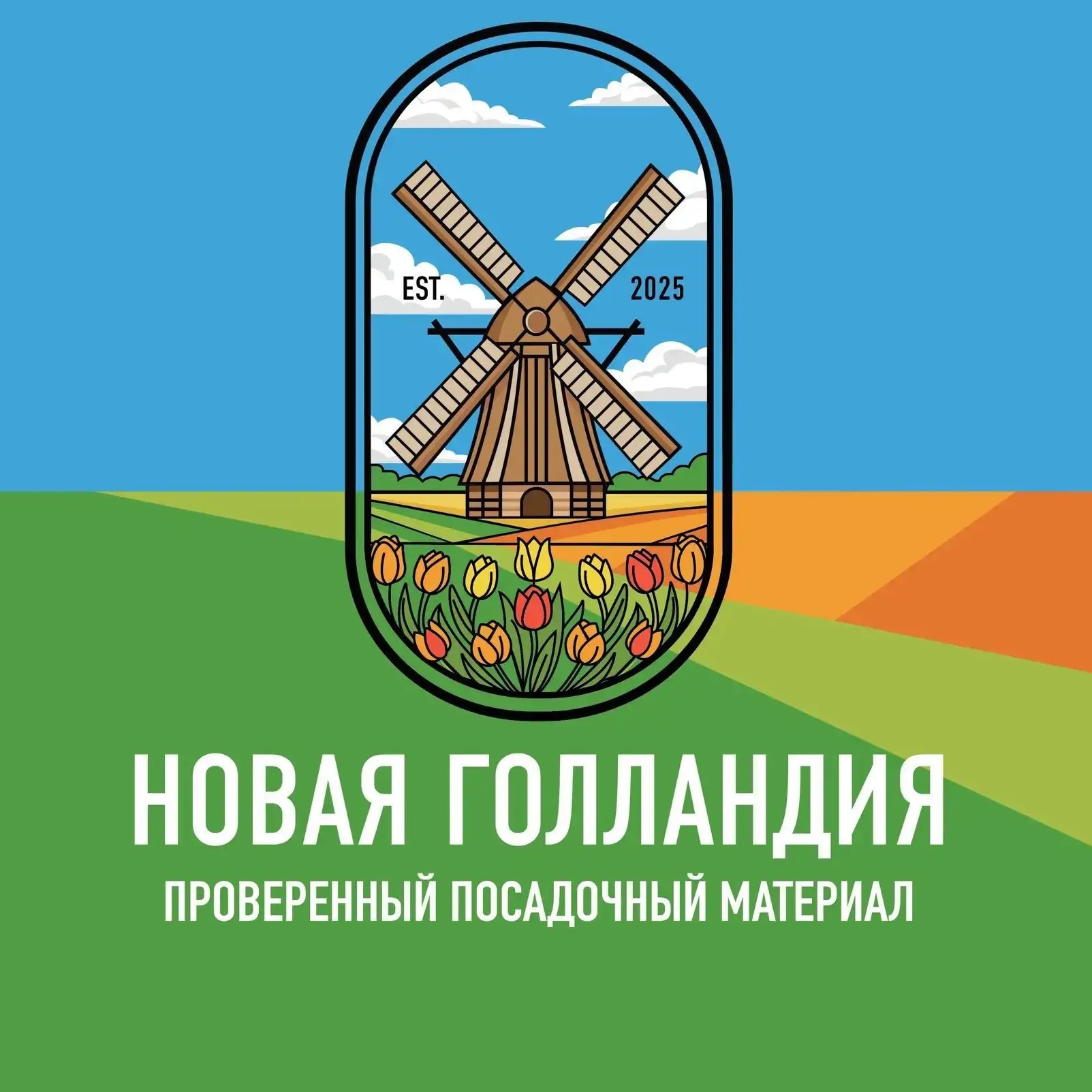 луковицы тюльпанов оптом| Новая Голландия