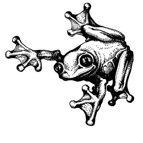 ZOOCOM club / Евгений Рыбалтовский