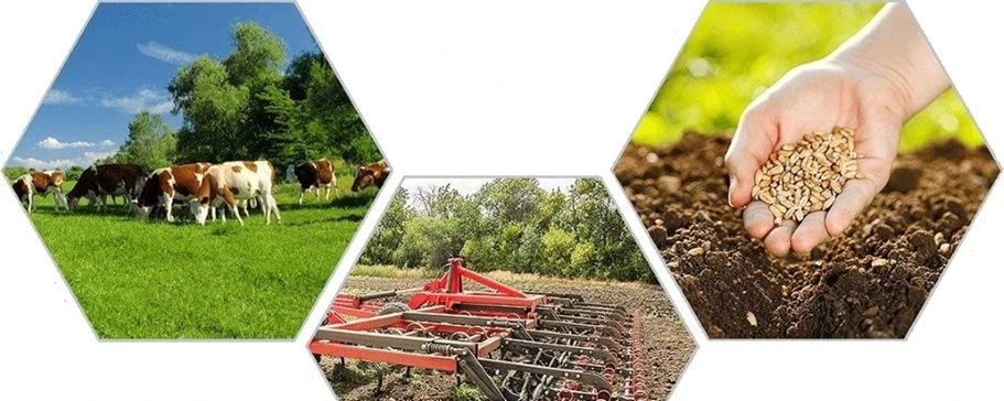 Управление сельского хозяйства Пильнинского мо