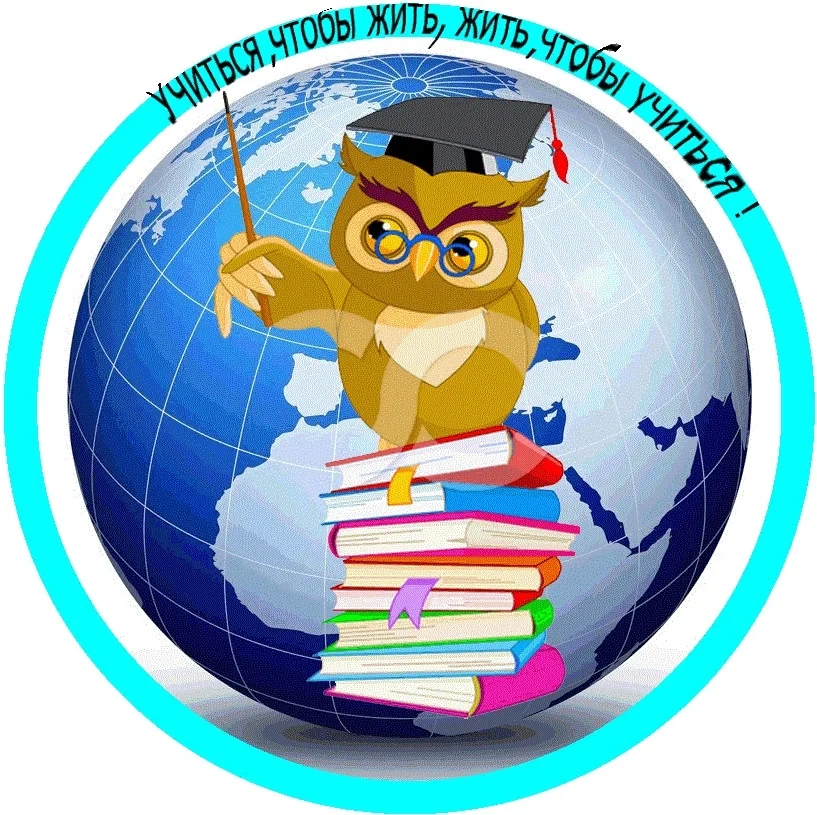 МОУ СОШ с.Альшанка Екатериновского района Саратовской области