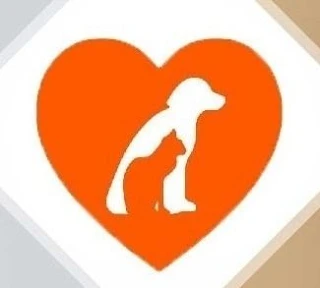 Потеряшки Коми