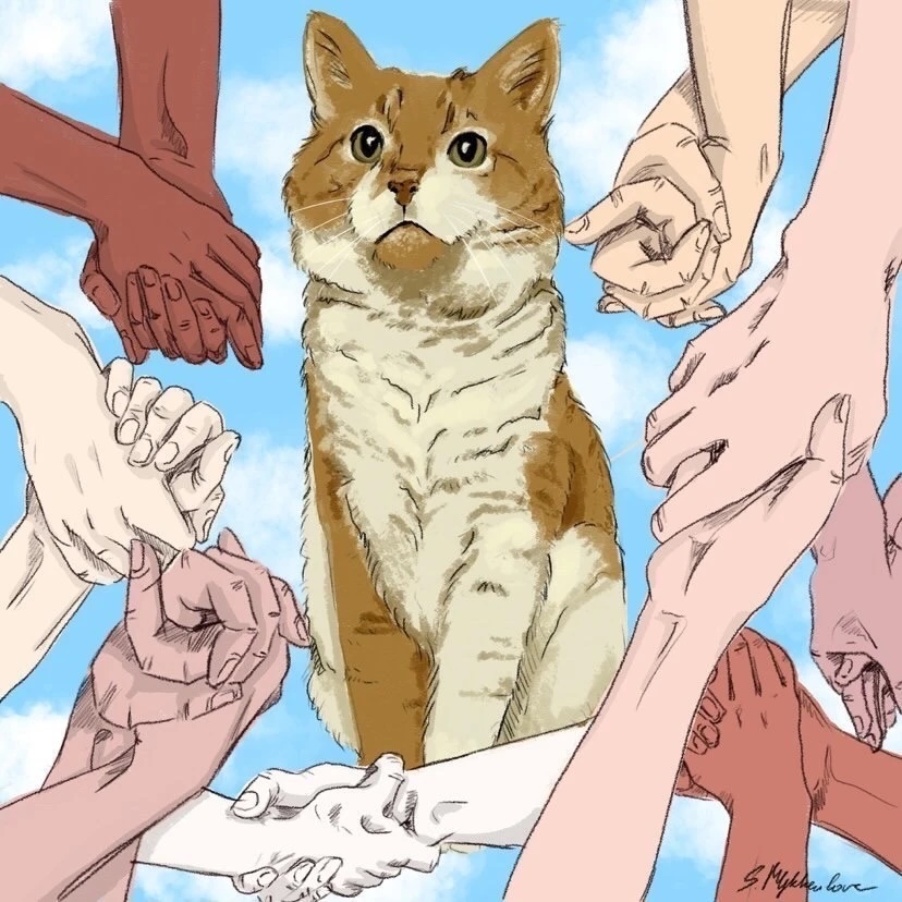 Кота Кузю не вернуть, но их накажем...