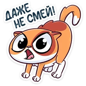 Бася — стикер для MAX